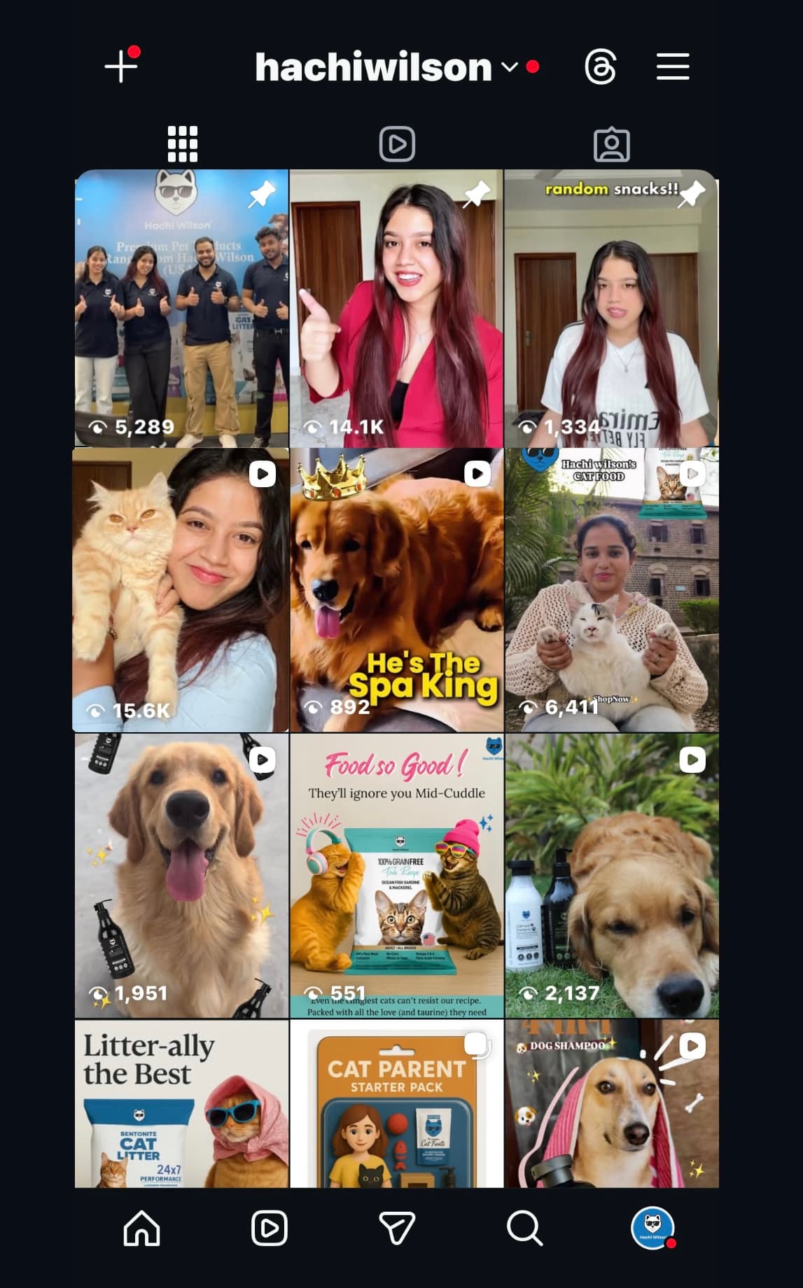 After Instagram Feed 1 (Hachi) thumbnail