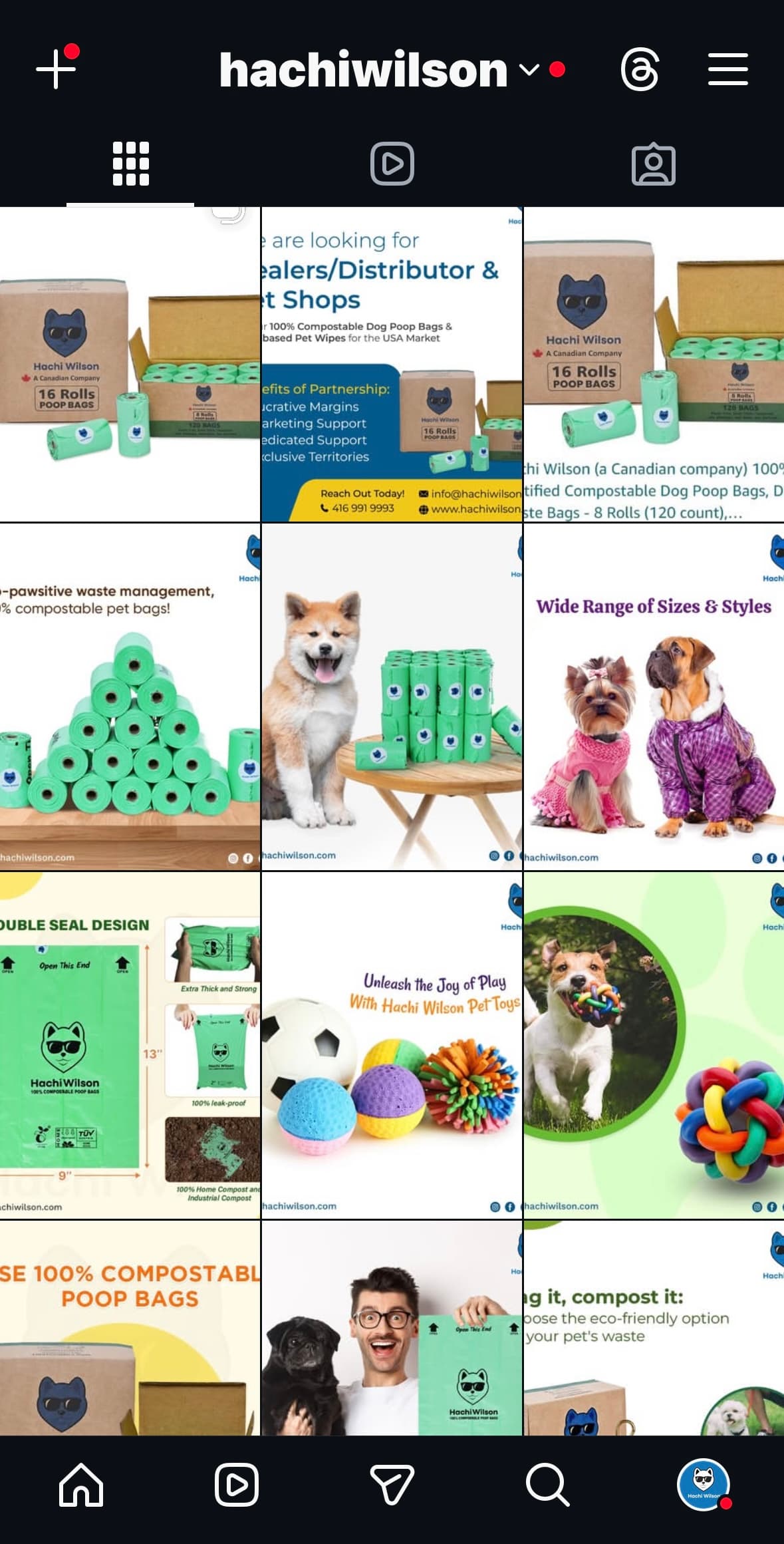 Before Instagram Feed Screenshot (Hachi)